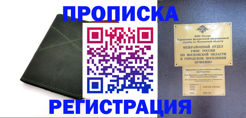 прописка в квартире в Московской области